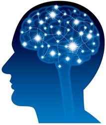 HSPは脳や神経系の特徴